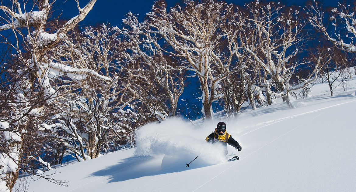 neve powder para esquiar no japão