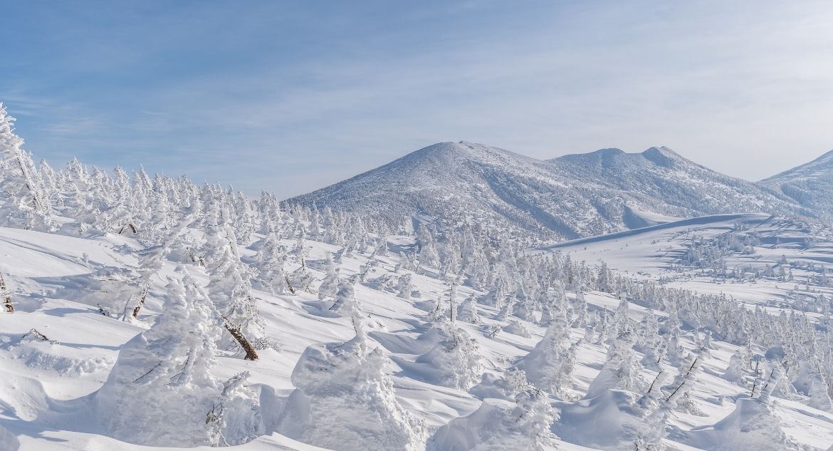 Vista para os monstros de neve do Monte Zaō, no Japão