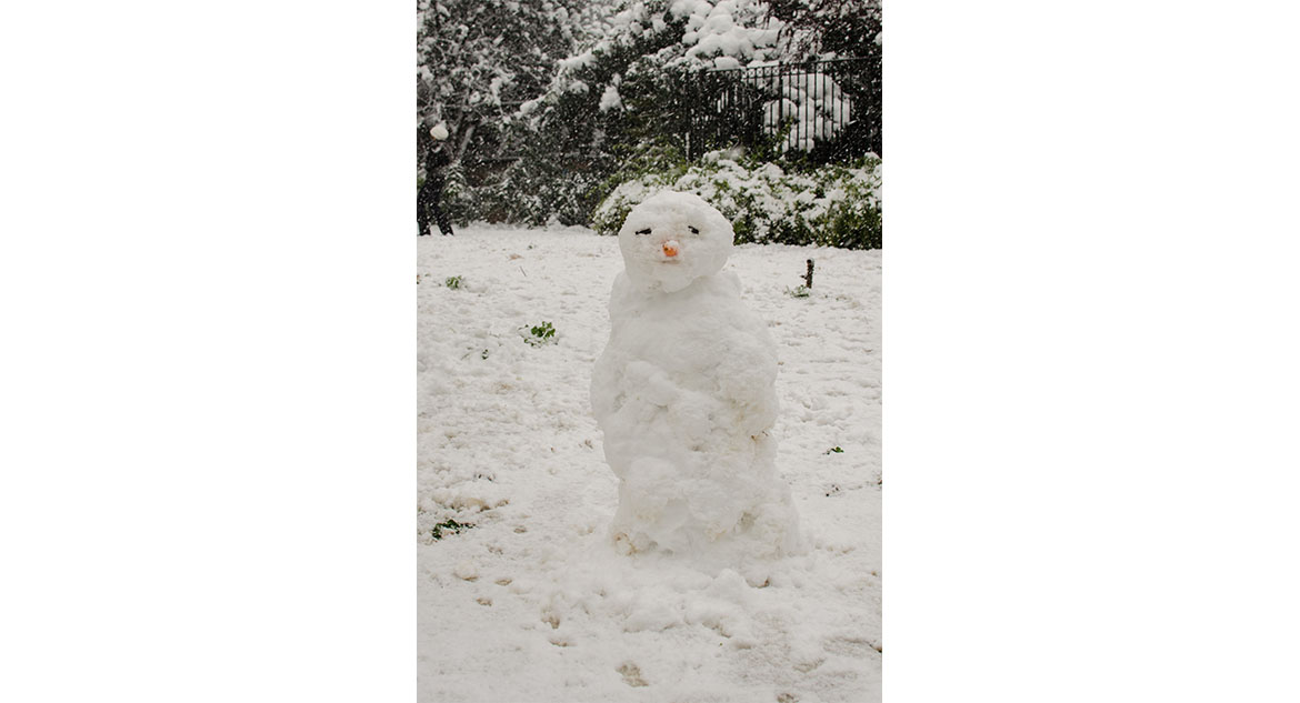bonequinho de neve