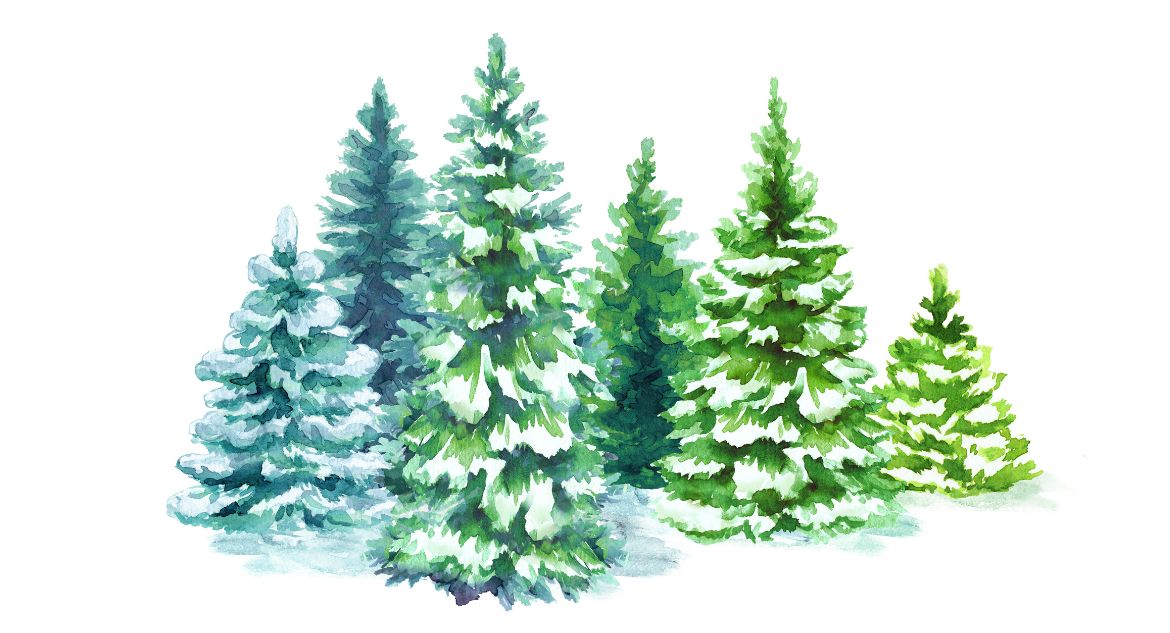 Desenho de árvores cobertas de neve