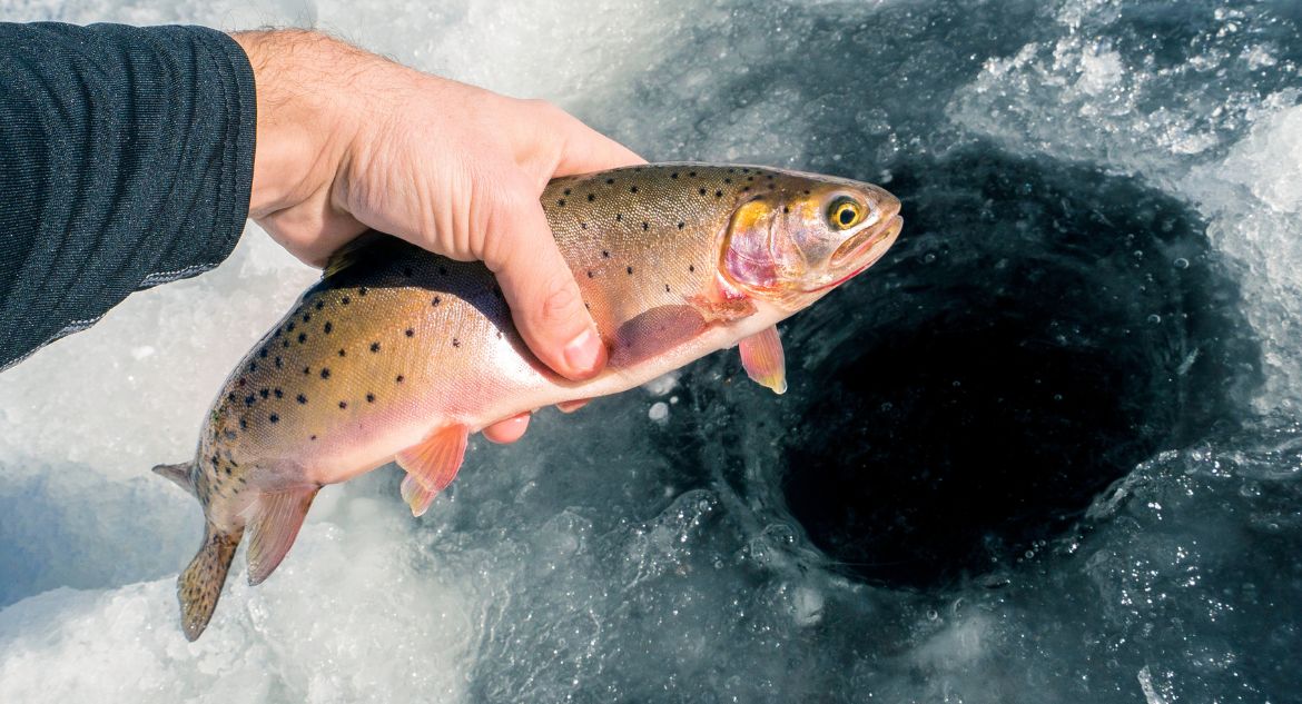 pesca no gelo na alasca