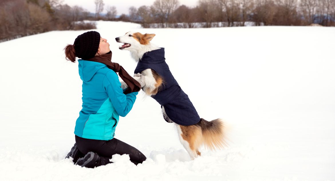 roupa de neve para cachorro
